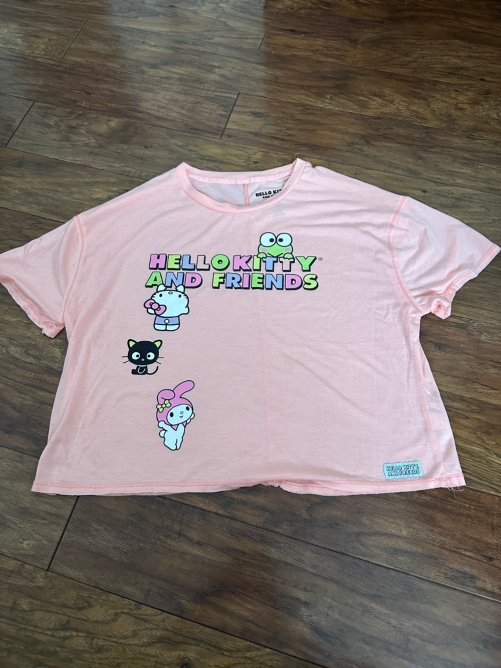 Hello Kitty Pastel Characters Pink Graphic Tee